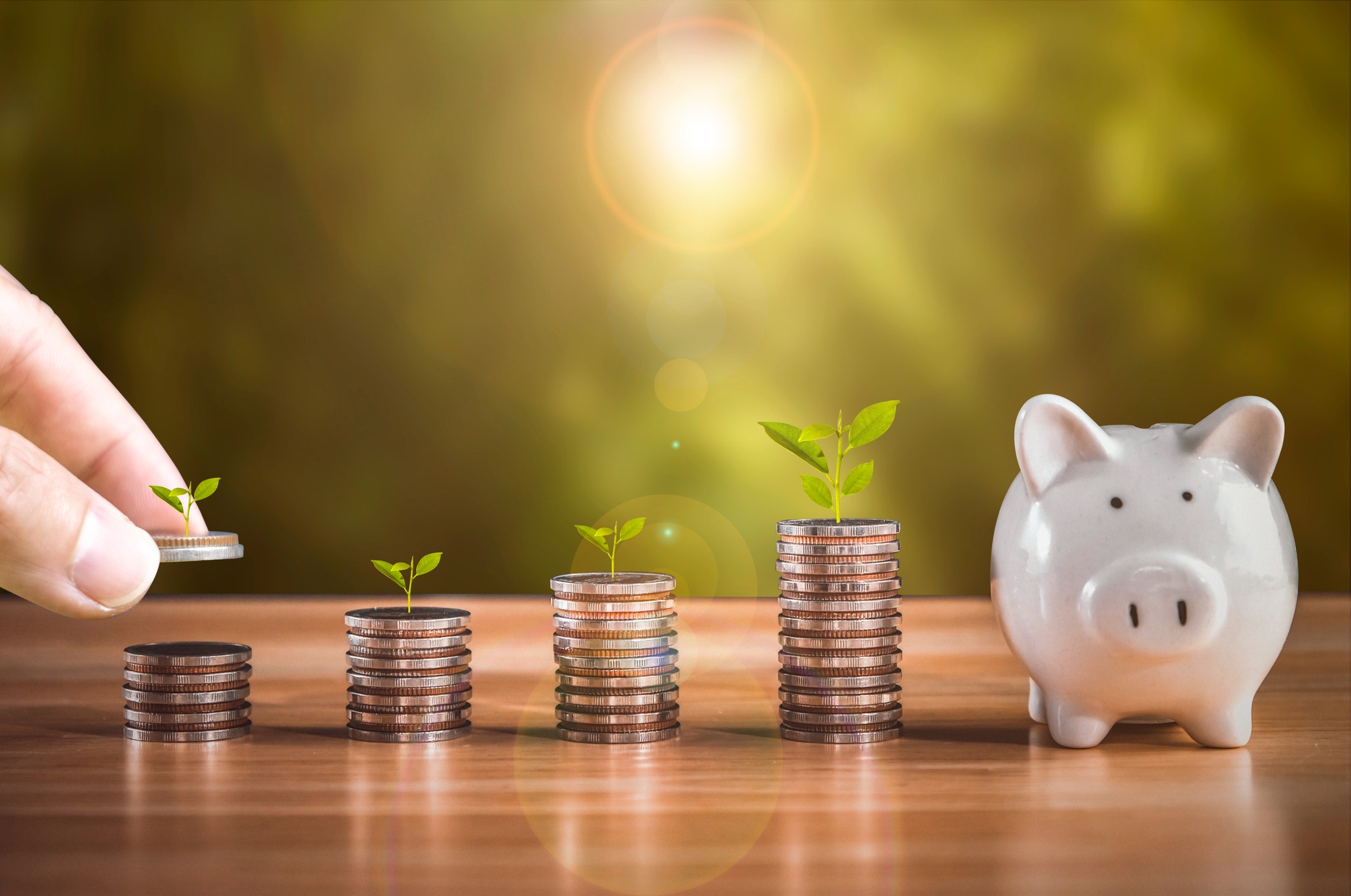 IRAs/401(k) Rollovers