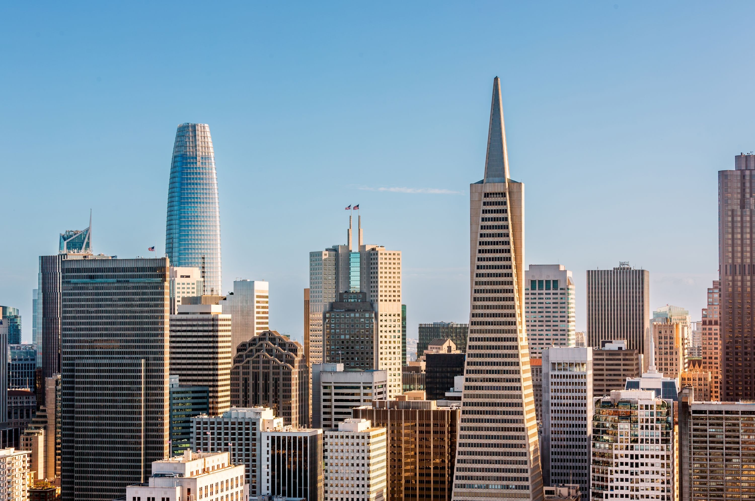 Your Financial Future, Navigated with Experience<br/>