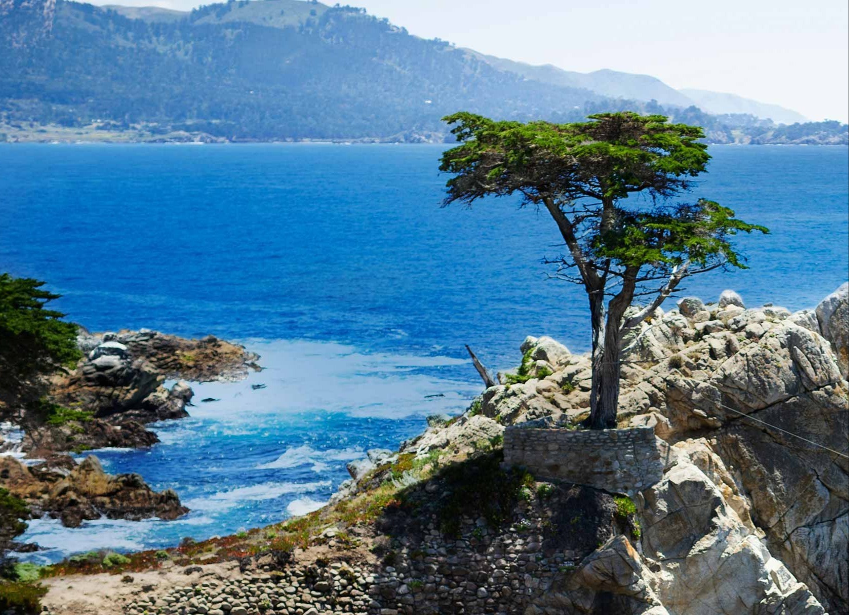 Week of March 3, 2025