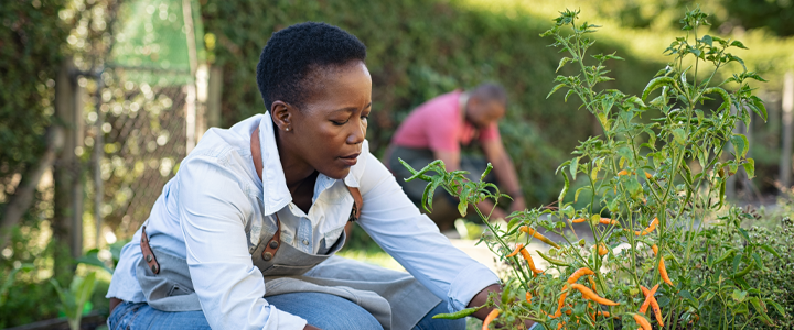 Financial Guidance Hero Image