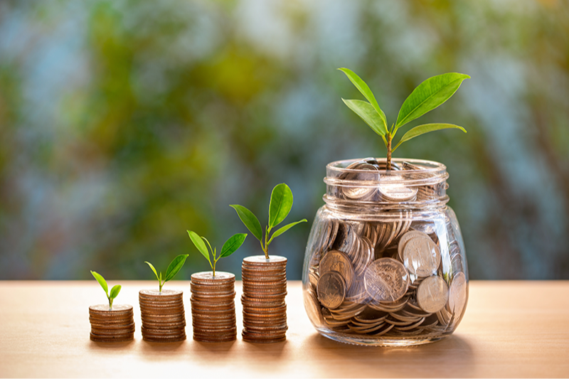 Investment Management Includes: