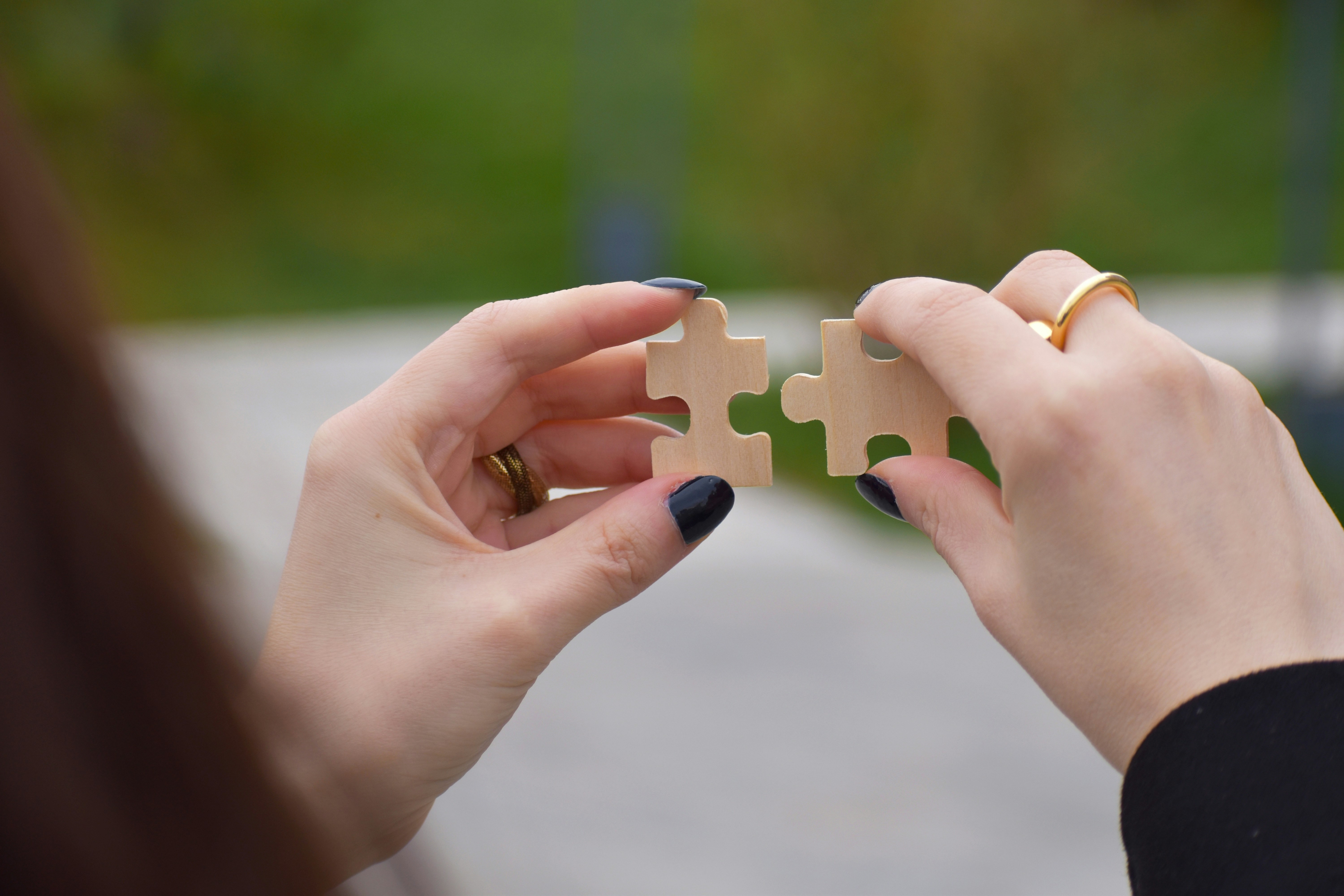 Policy Integration & Review<br/>