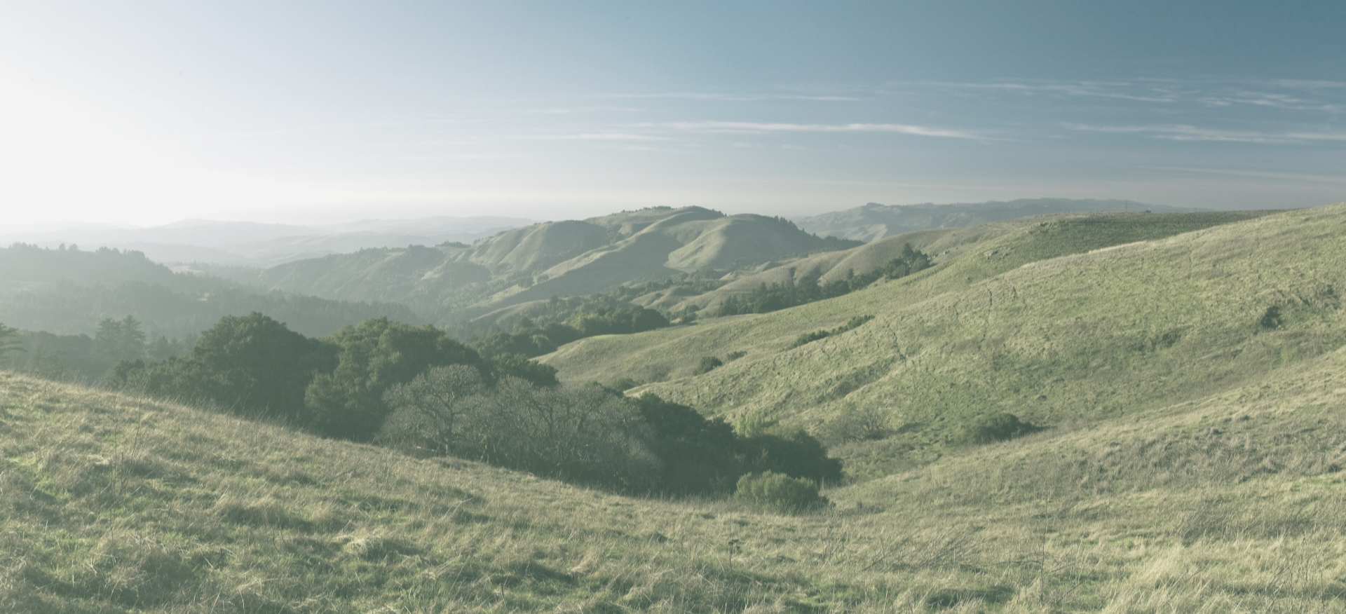 Read Mario's Latest Article