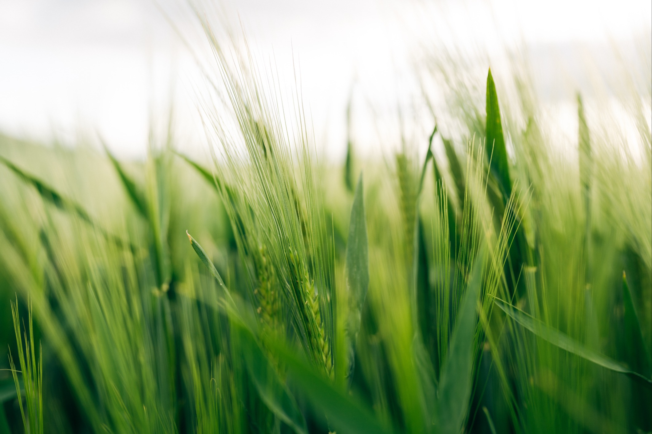 Your trust. Our expertise.