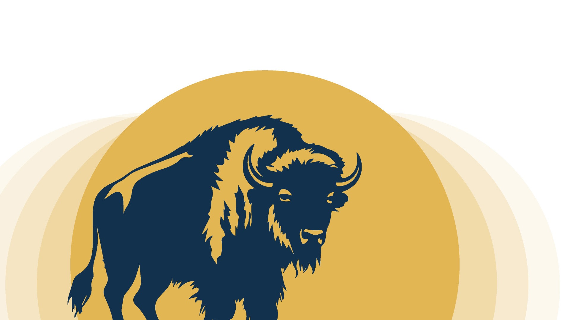 Strike your ideal balance.