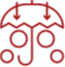 Risk Management-Icon