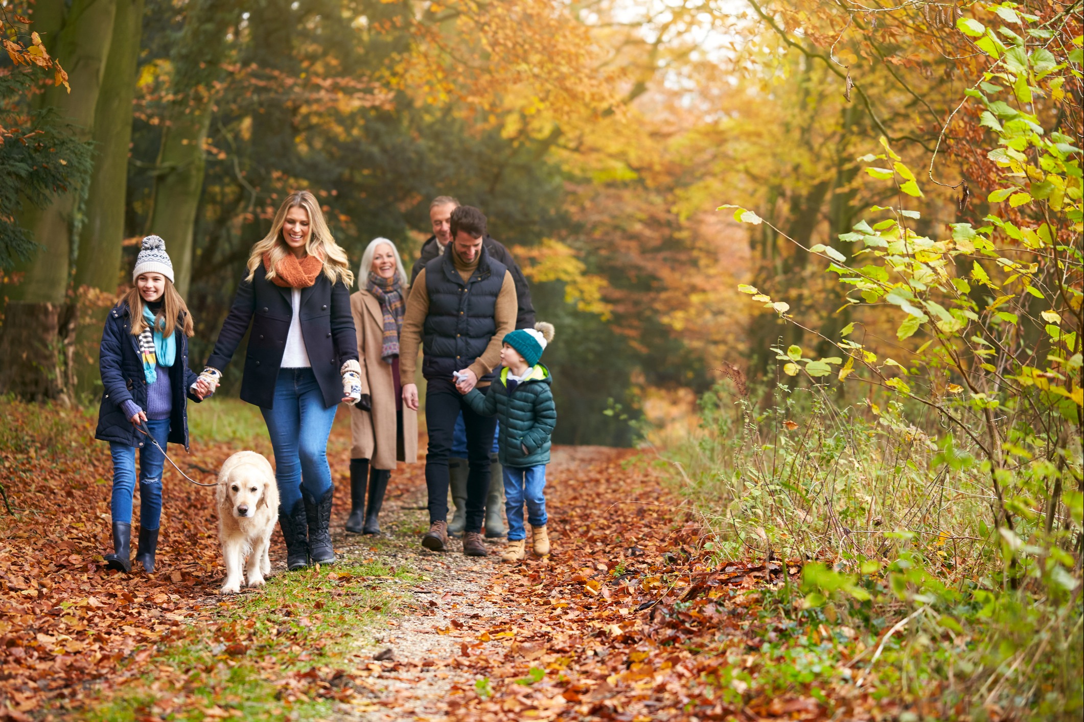 Holistic Wealth Planning
