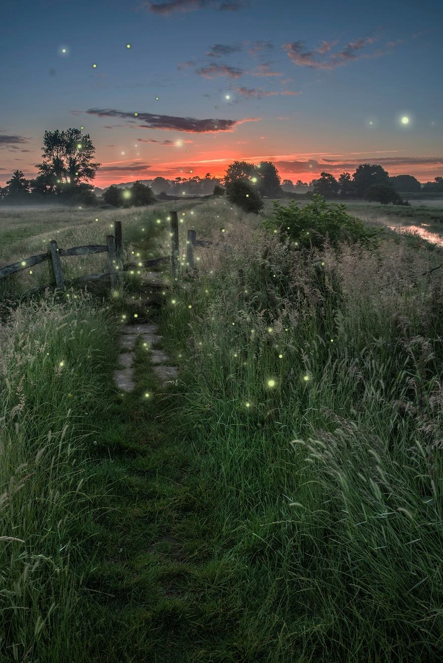 Light the Way to Your Best Life 