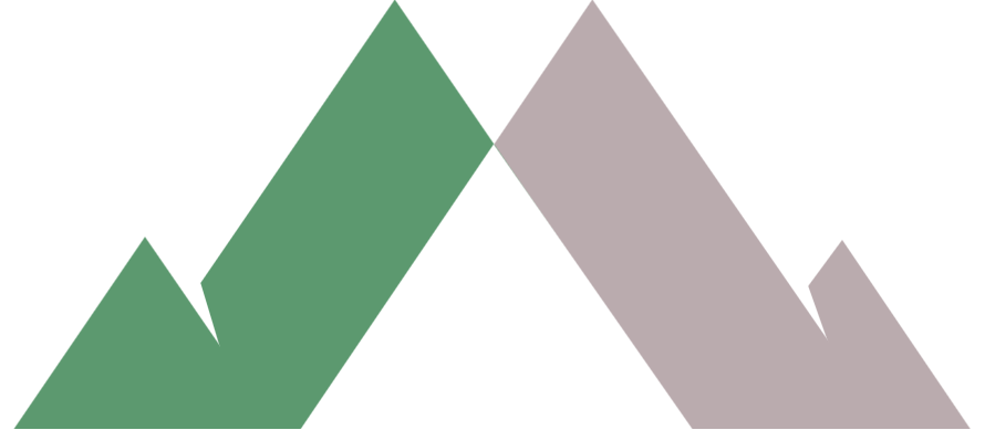 Your Financial LifeMap™