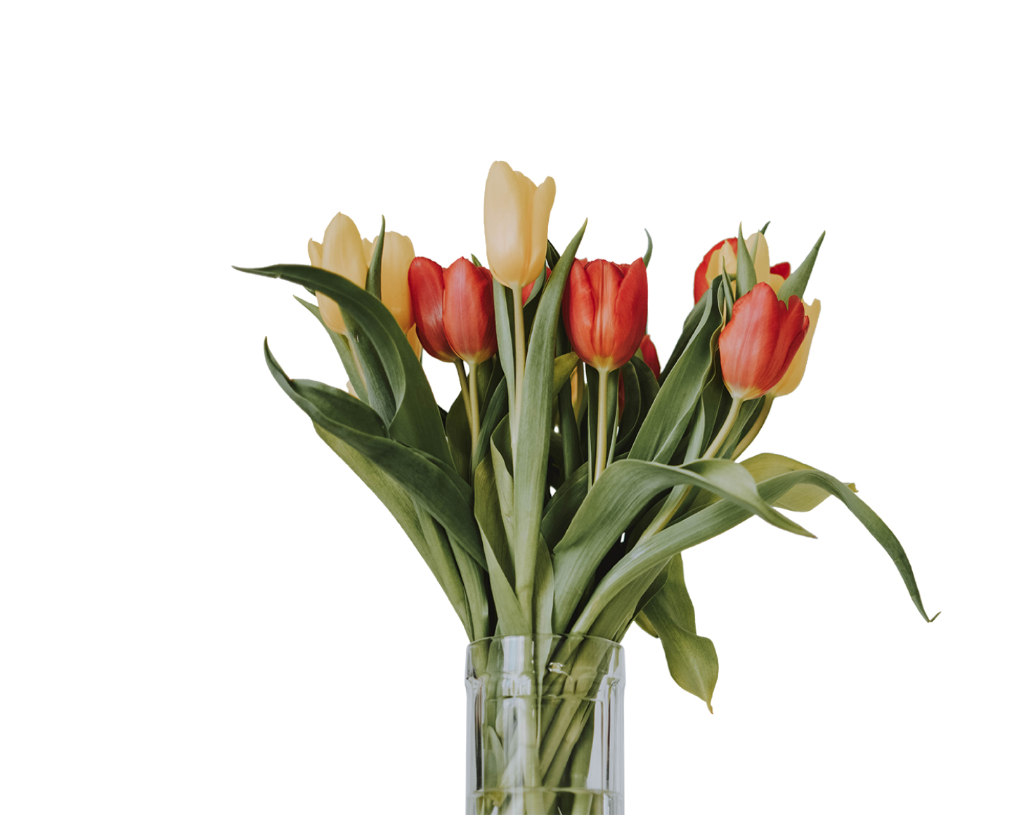 Red and white flowers arranged in a vase.