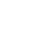 Wealth Management icon<br/>