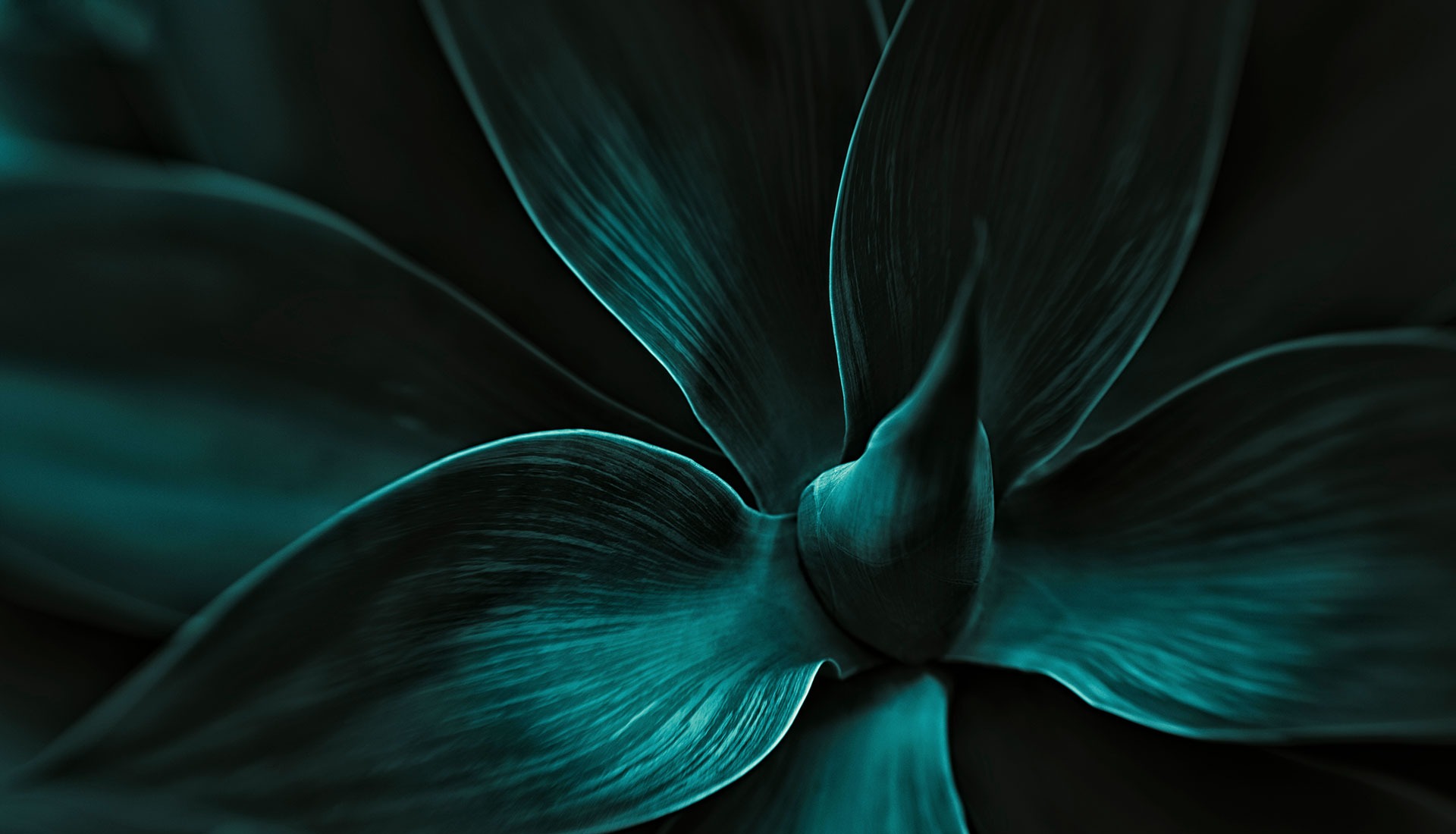 Multifaceted and highly skilled.