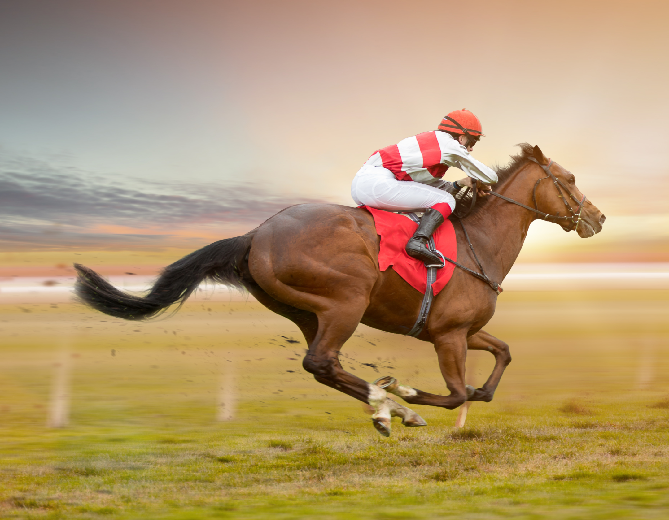 Jockey racing a horse on track