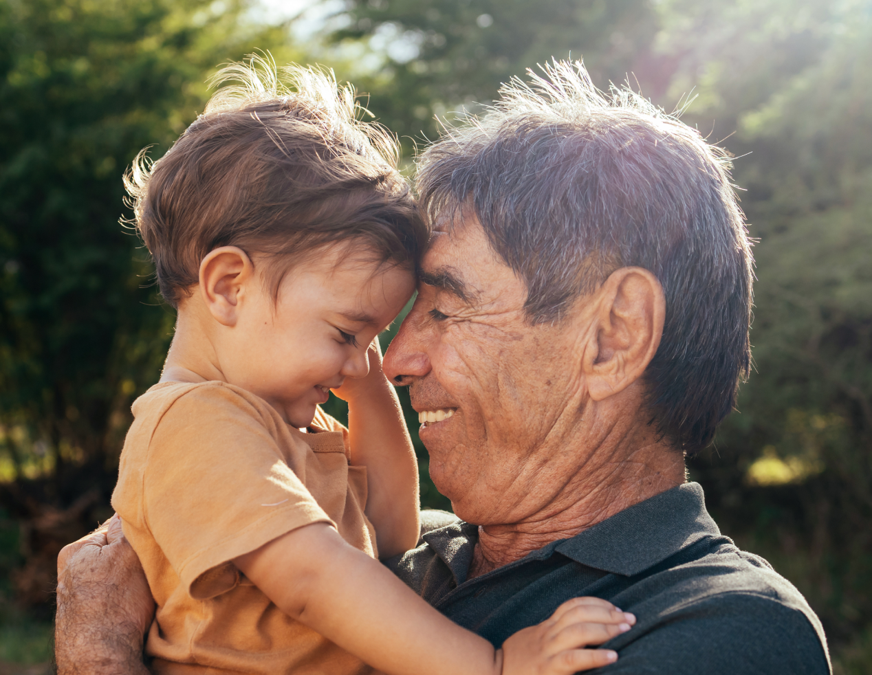 Estate Planning  & Wealth Transfer