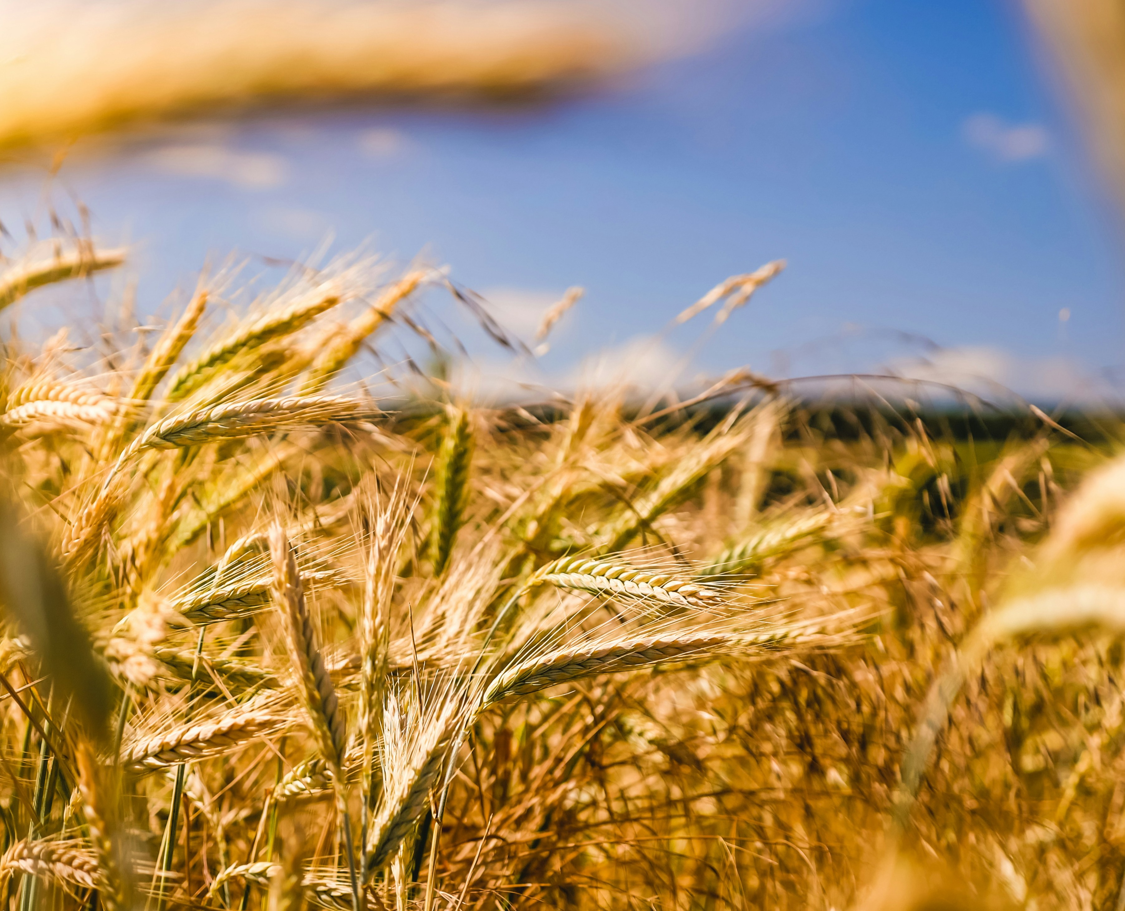Ag Proud Article: Farm Estate Planning
