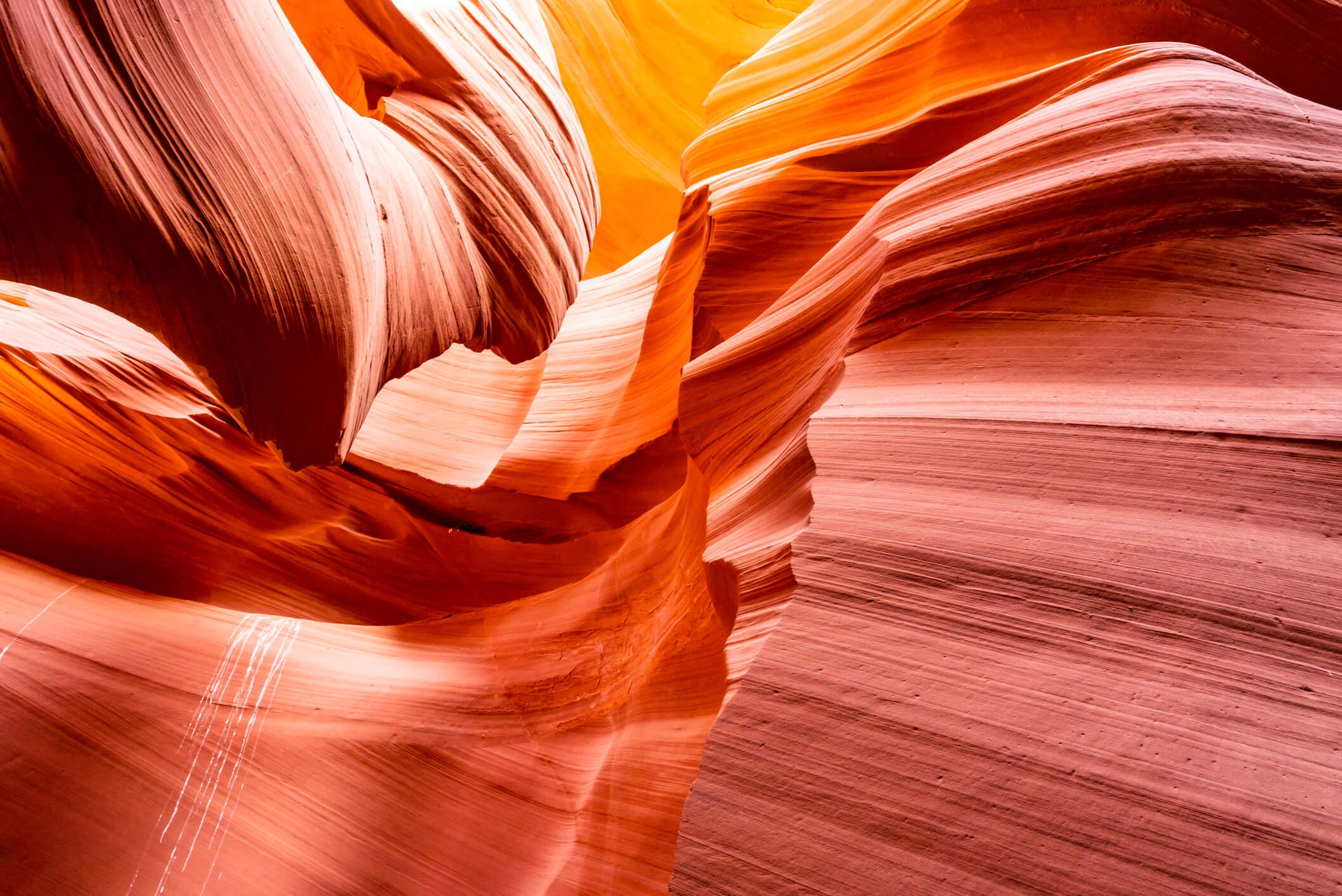 Core Values That Shape Every Decision