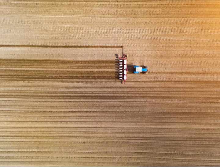 You Get Specialized Advice