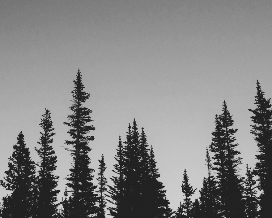 Family Legacy Support