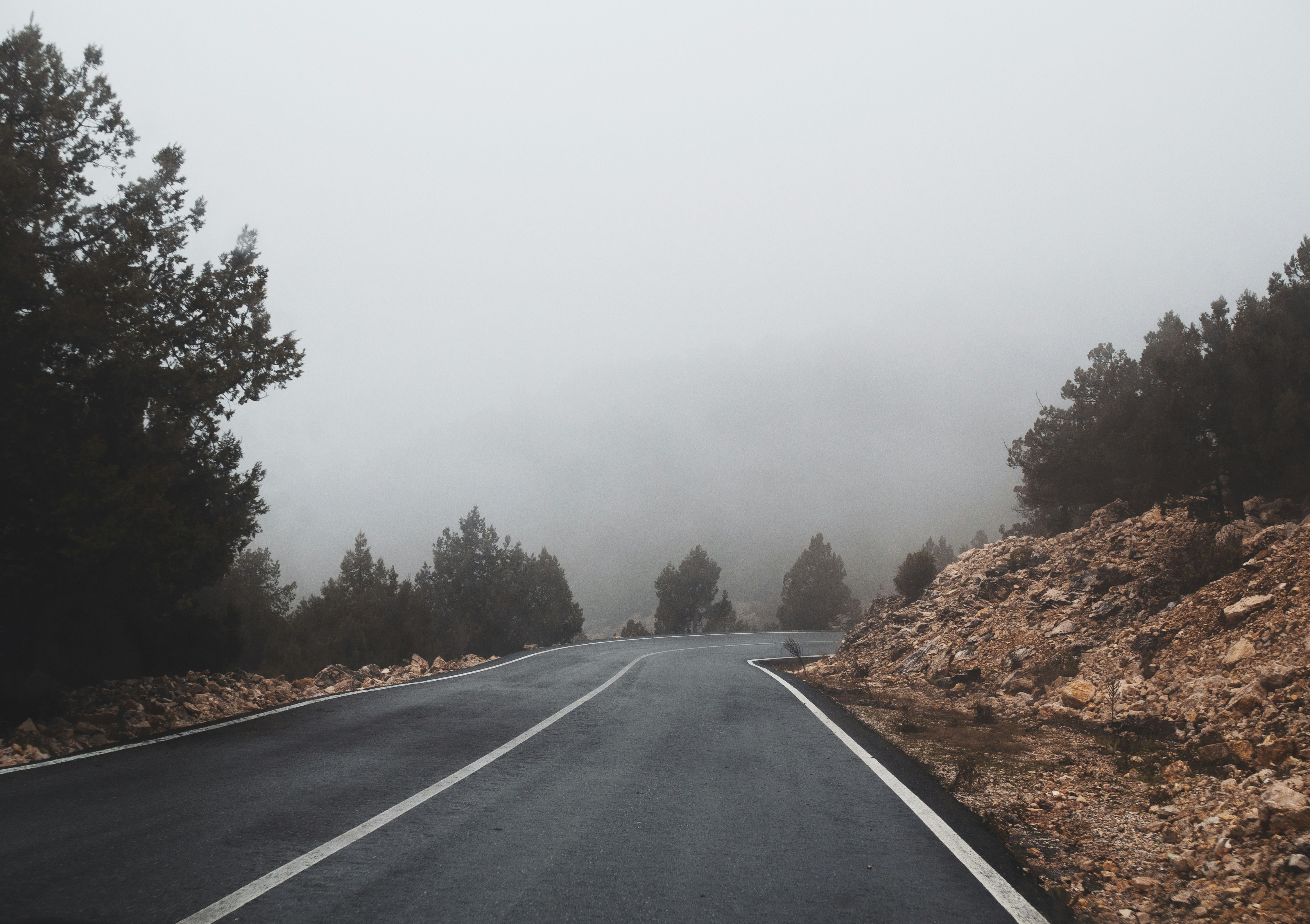 Your Journey Starts Here