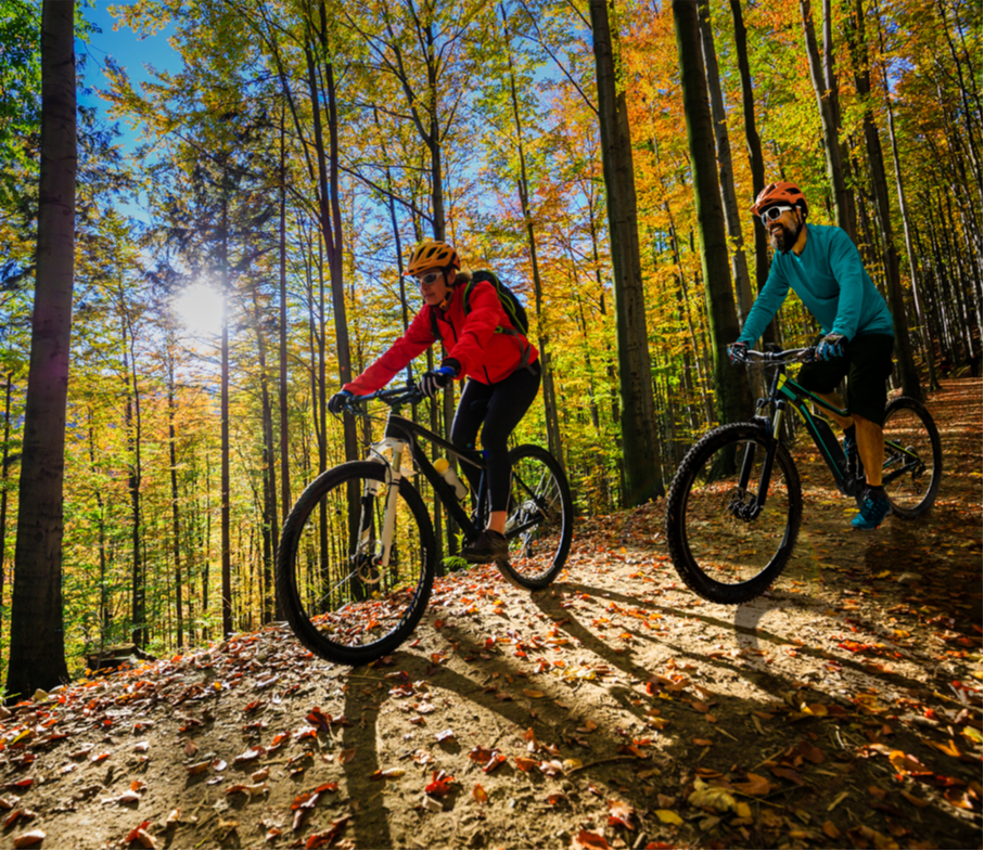 two people mountain biking on a sunny fall day