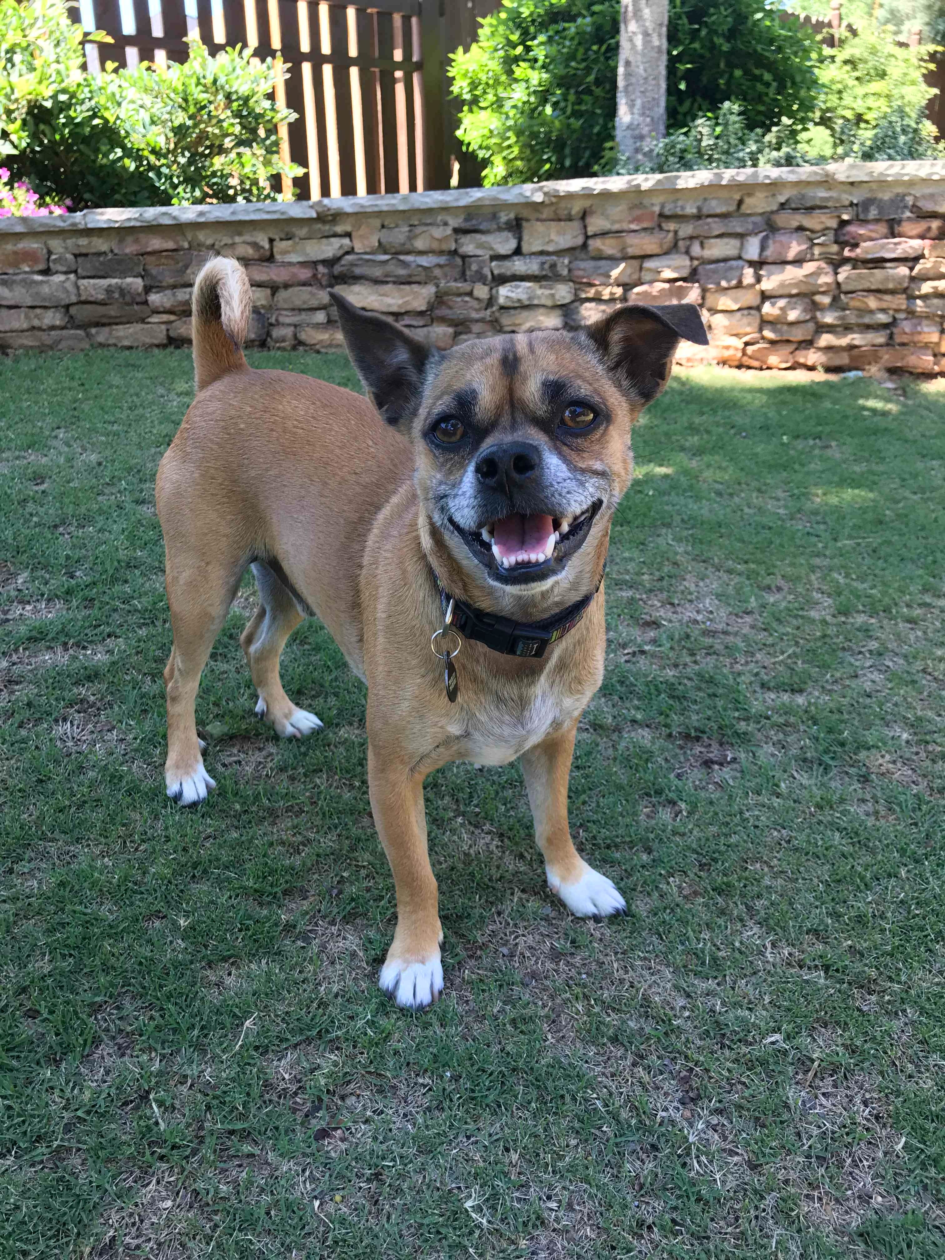 Mojo