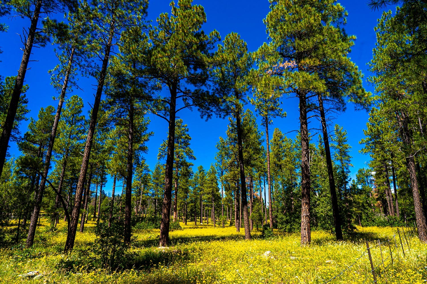 Our evolution: beyond traditional wealth management