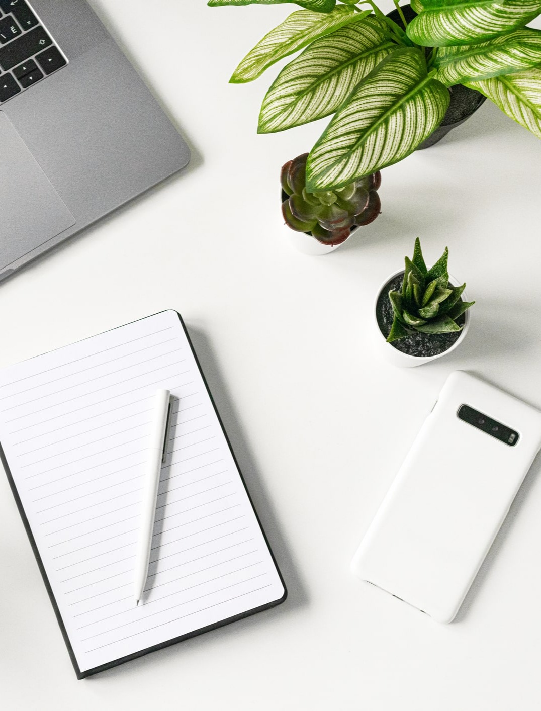 ... no copy here ...