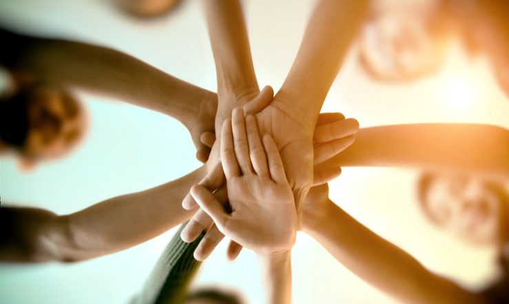 Endowments and Nonprofits