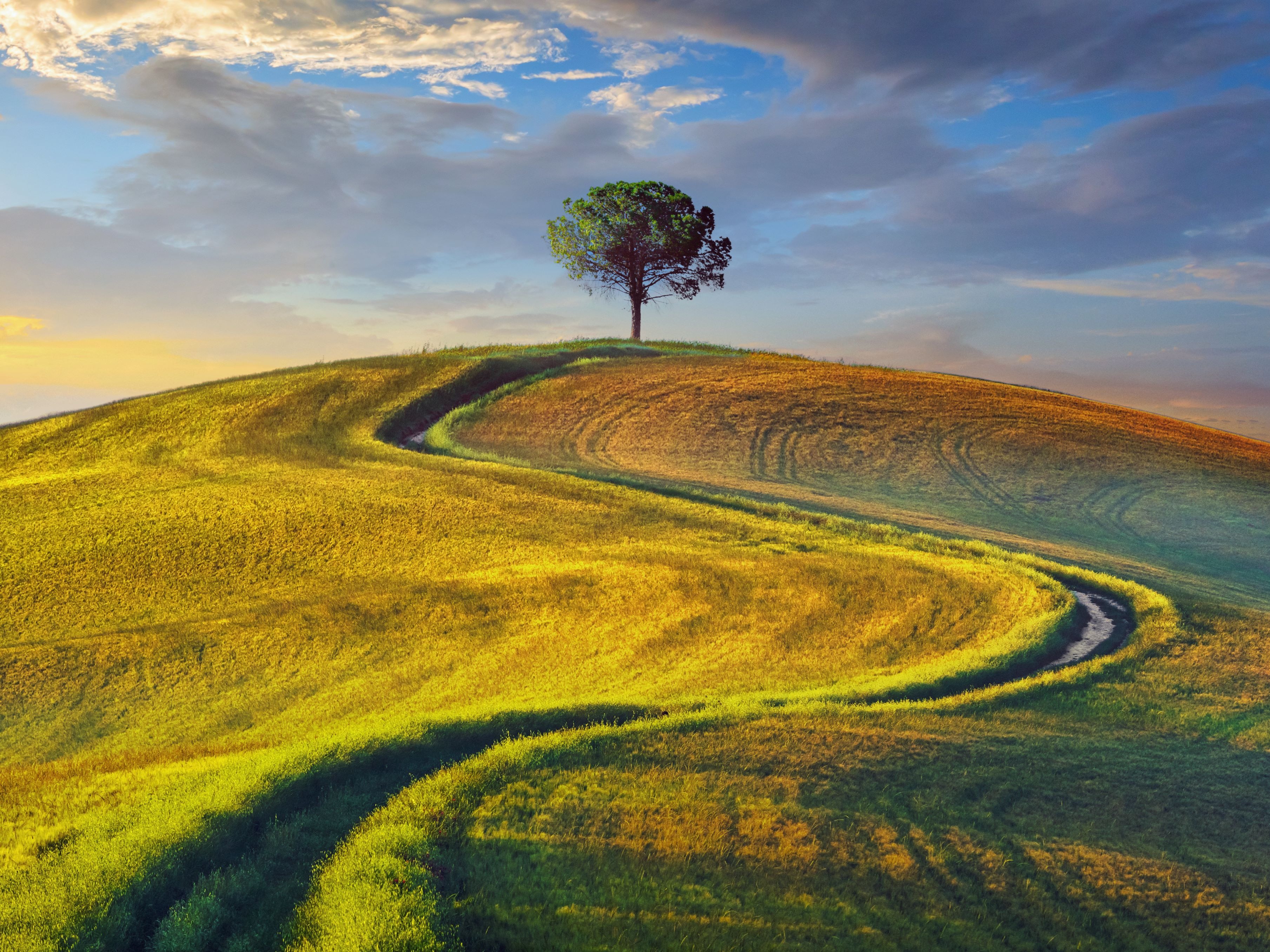 Empowering Independence, Simplifying Success