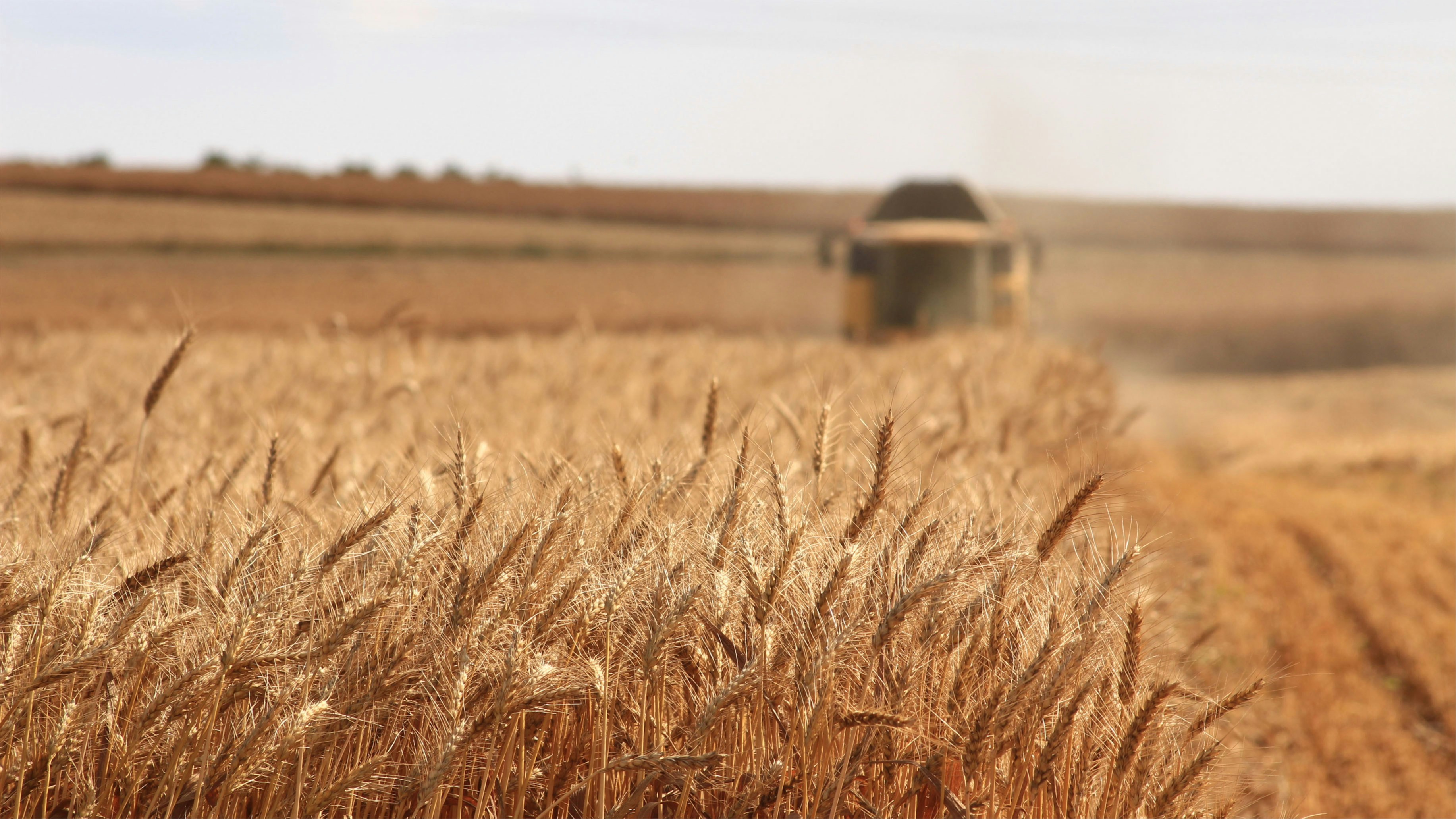 Agri-Business Owners