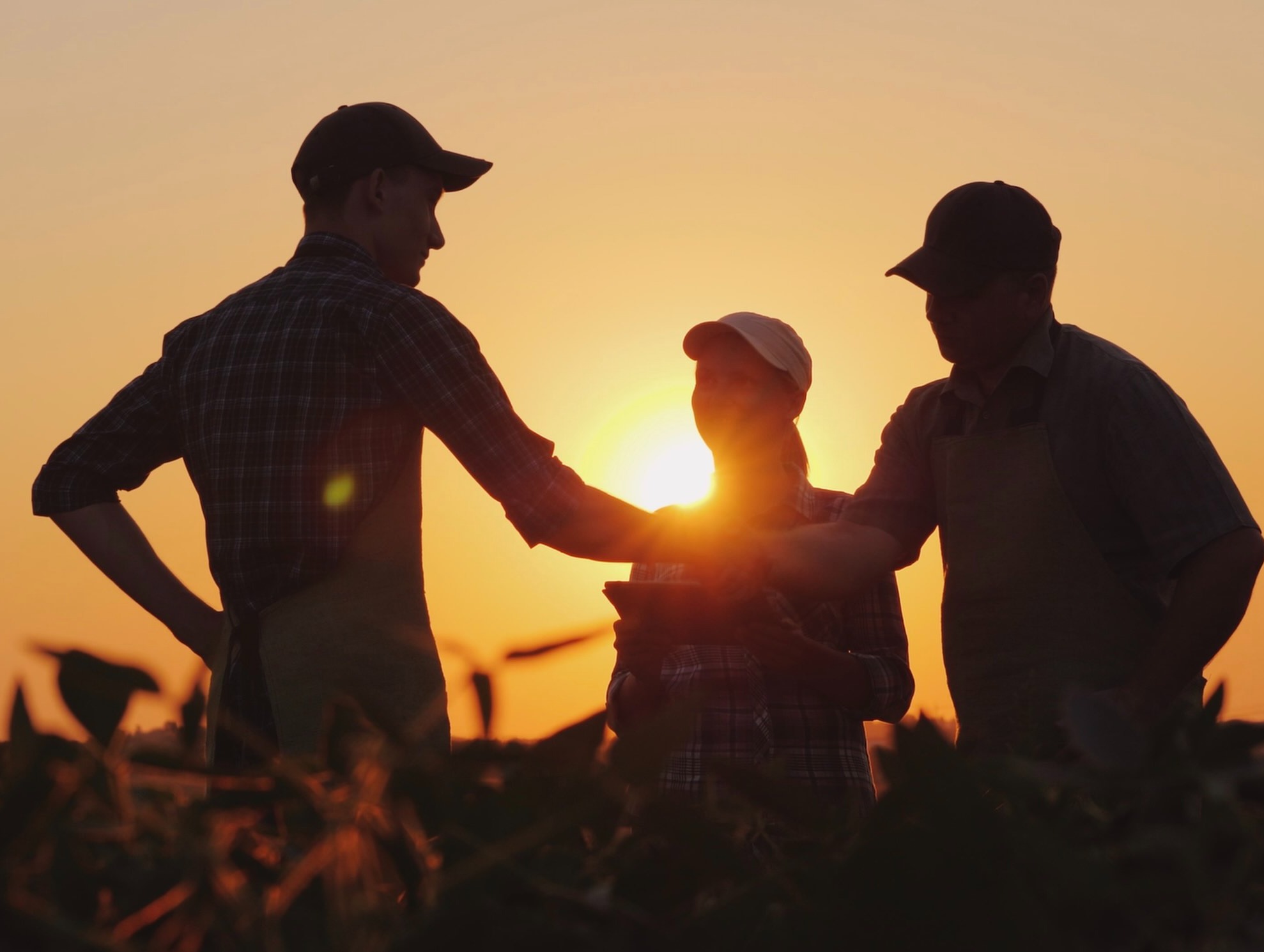 Farmers & Ranchers