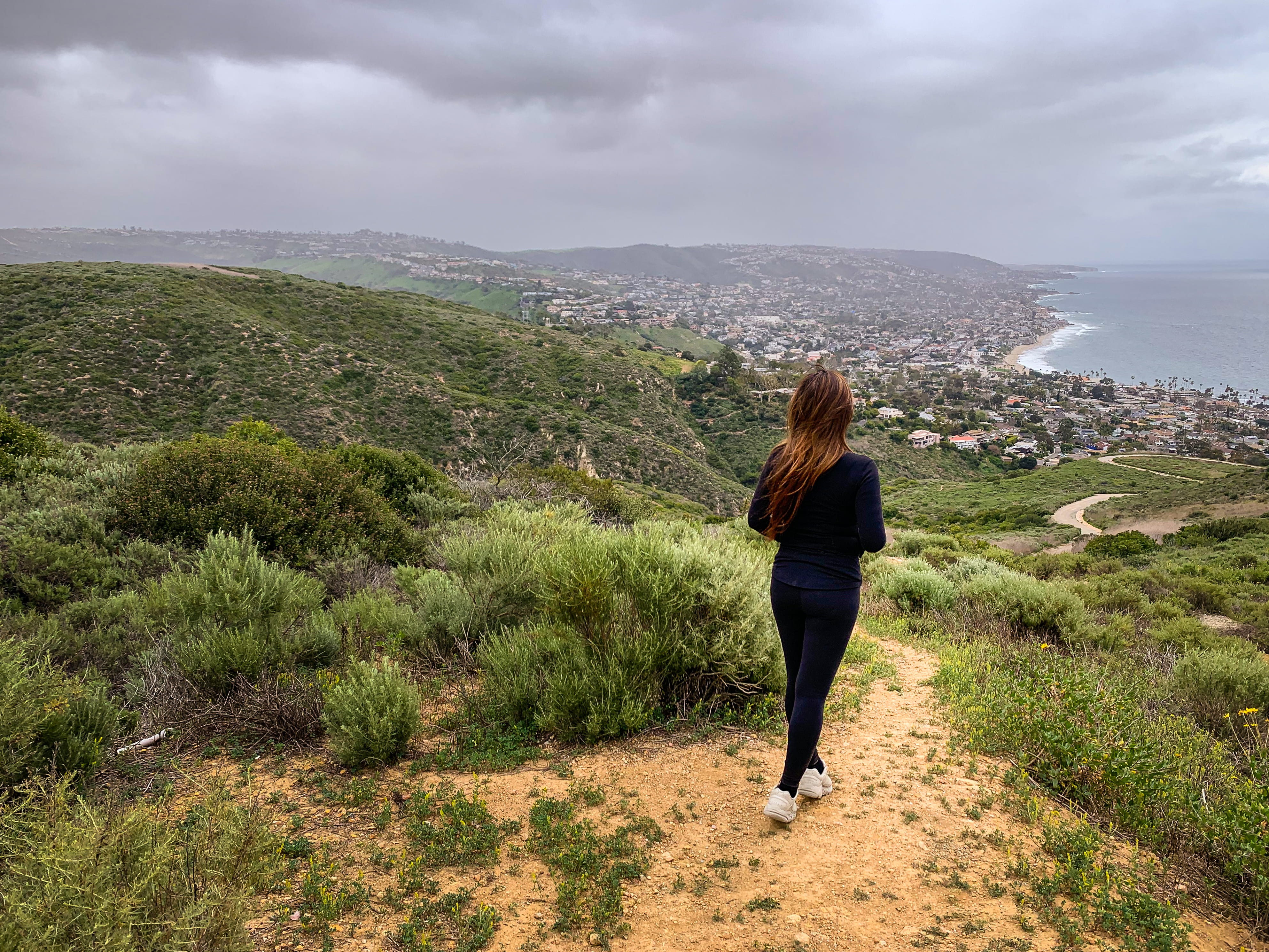 Businesses & Non-Profits