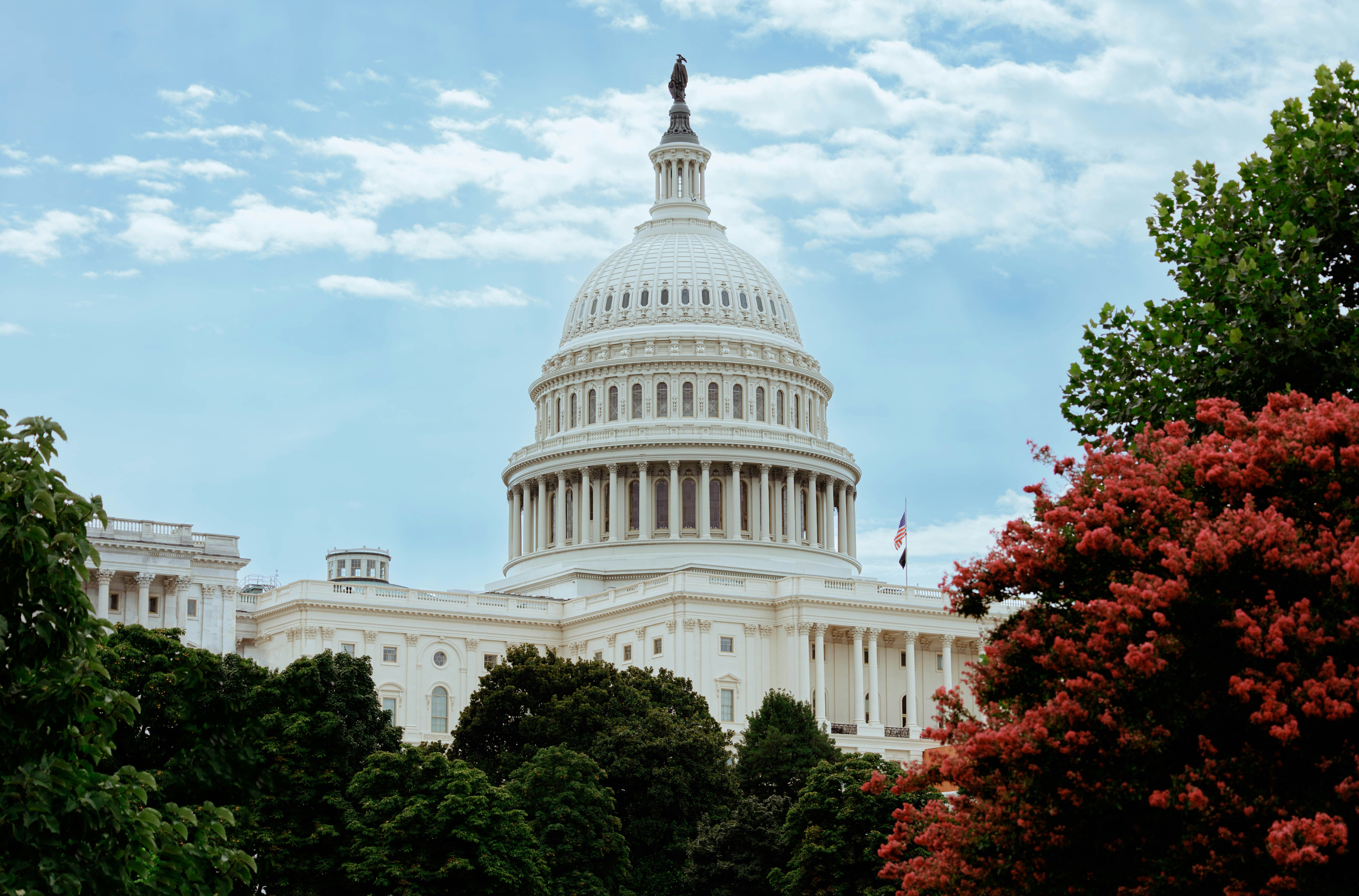 Federal Employees
