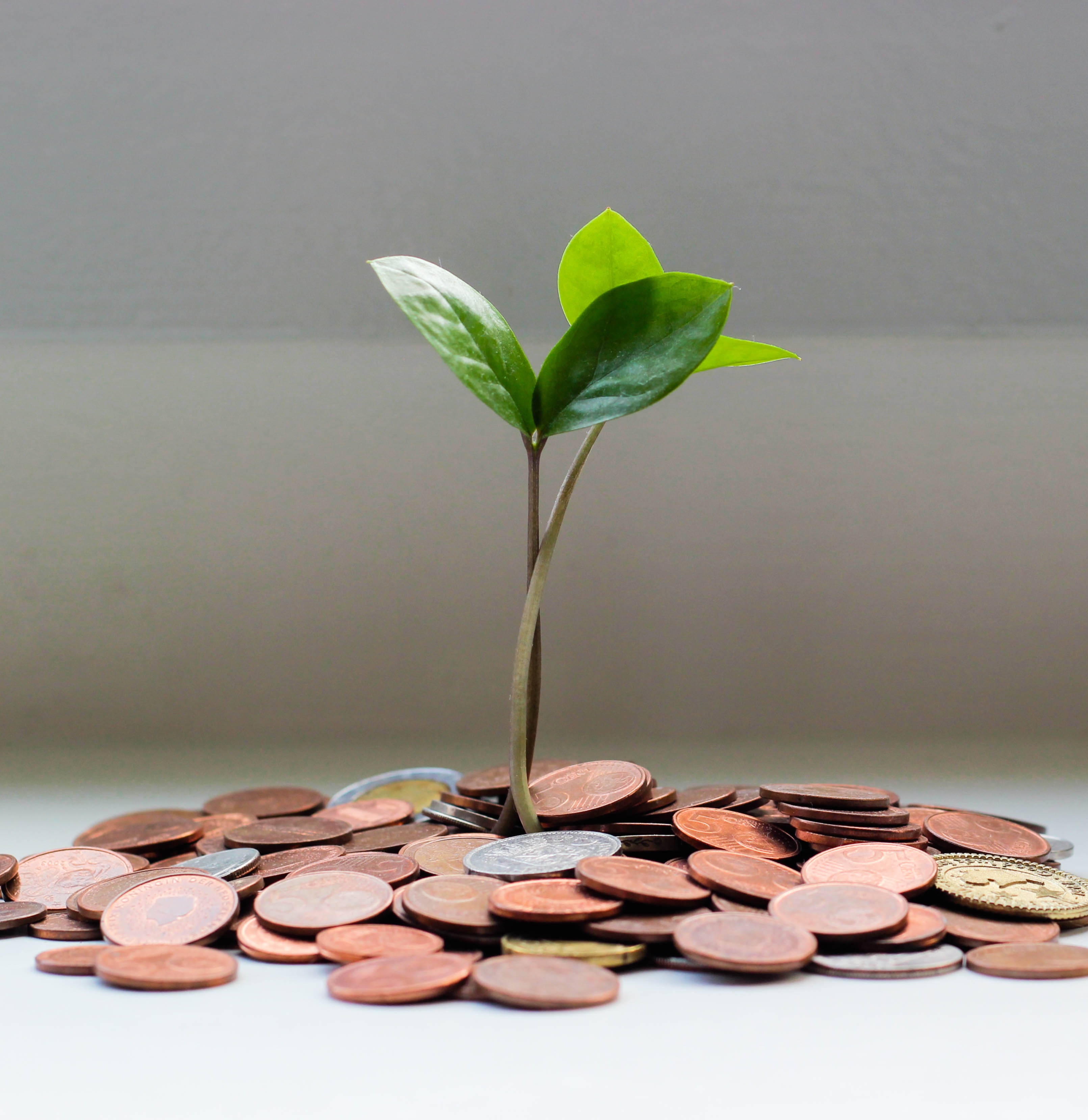 Guiding you on your financial journey.