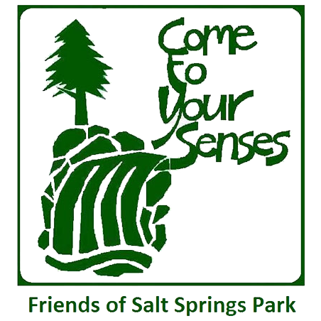 Come-to-Your-Senses-Logo