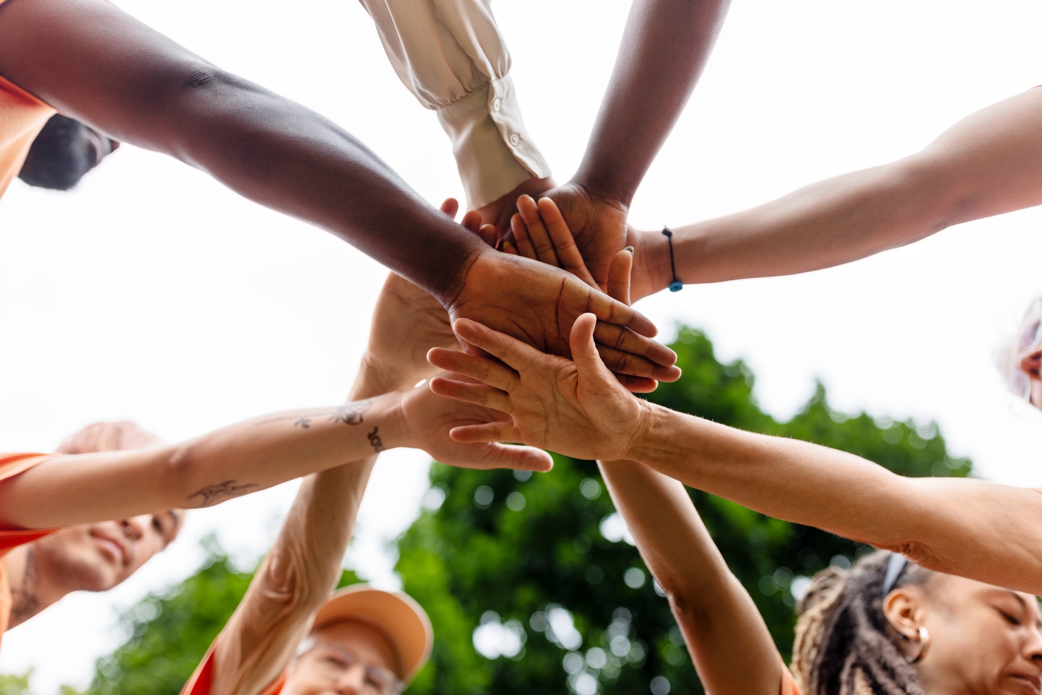 Charitable GivingGiving With Purpose and Impact