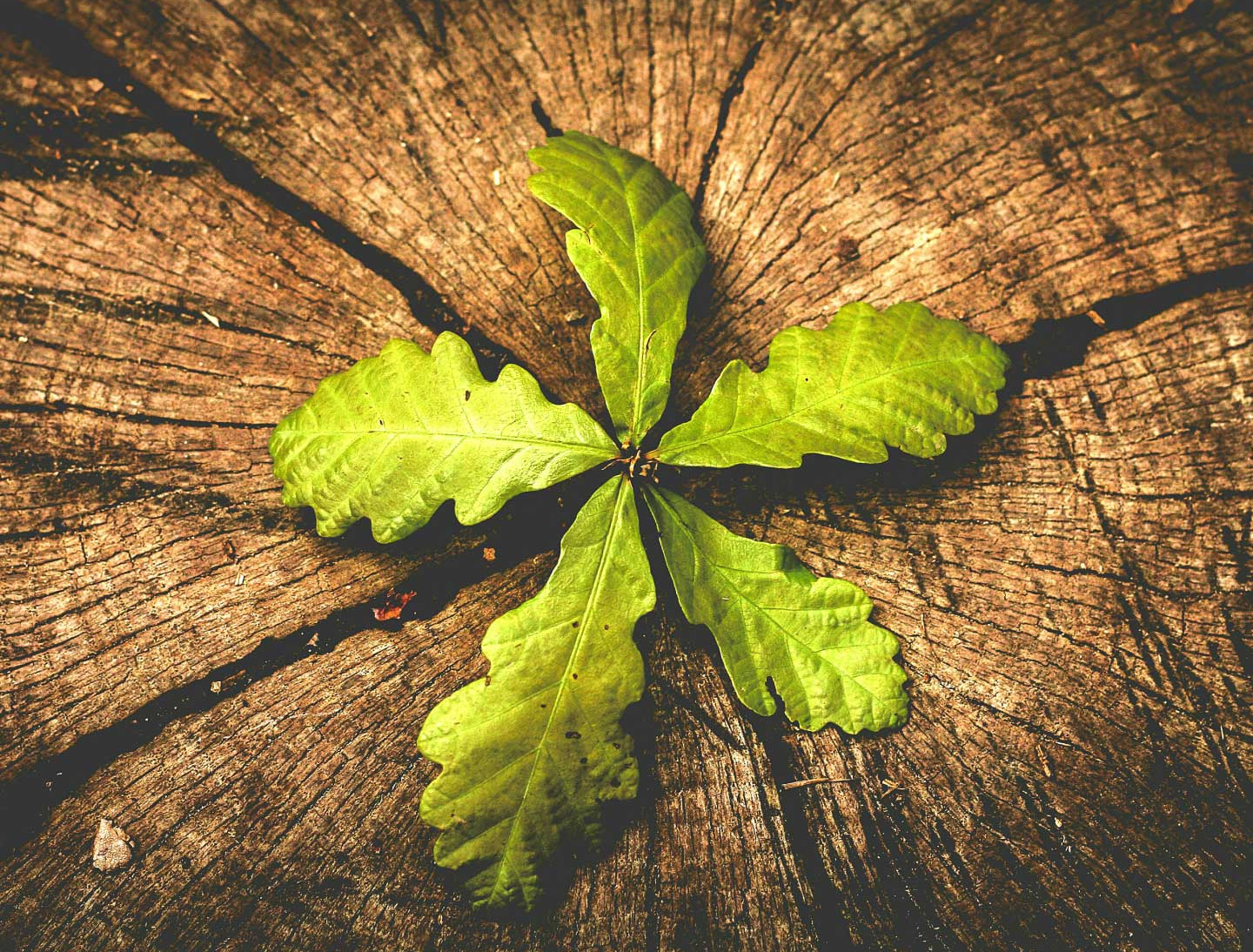 Our approach is rooted in a comprehensive financial planning process.