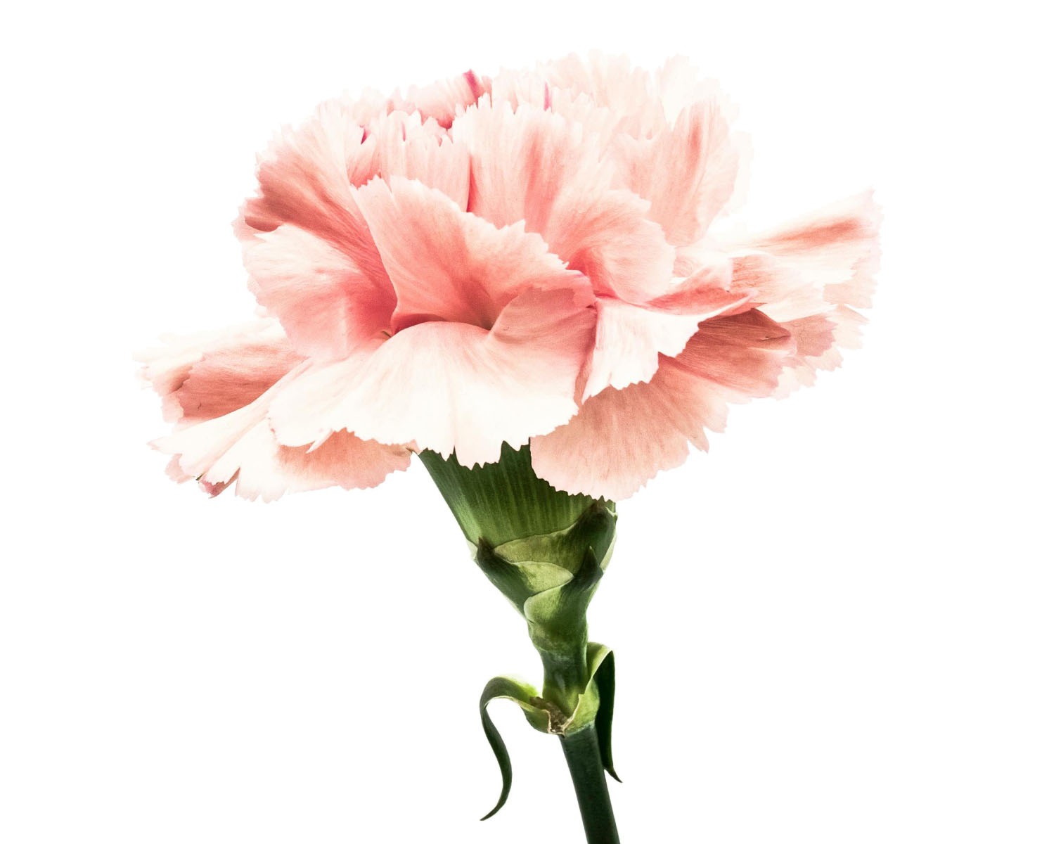 Start your financial journey.