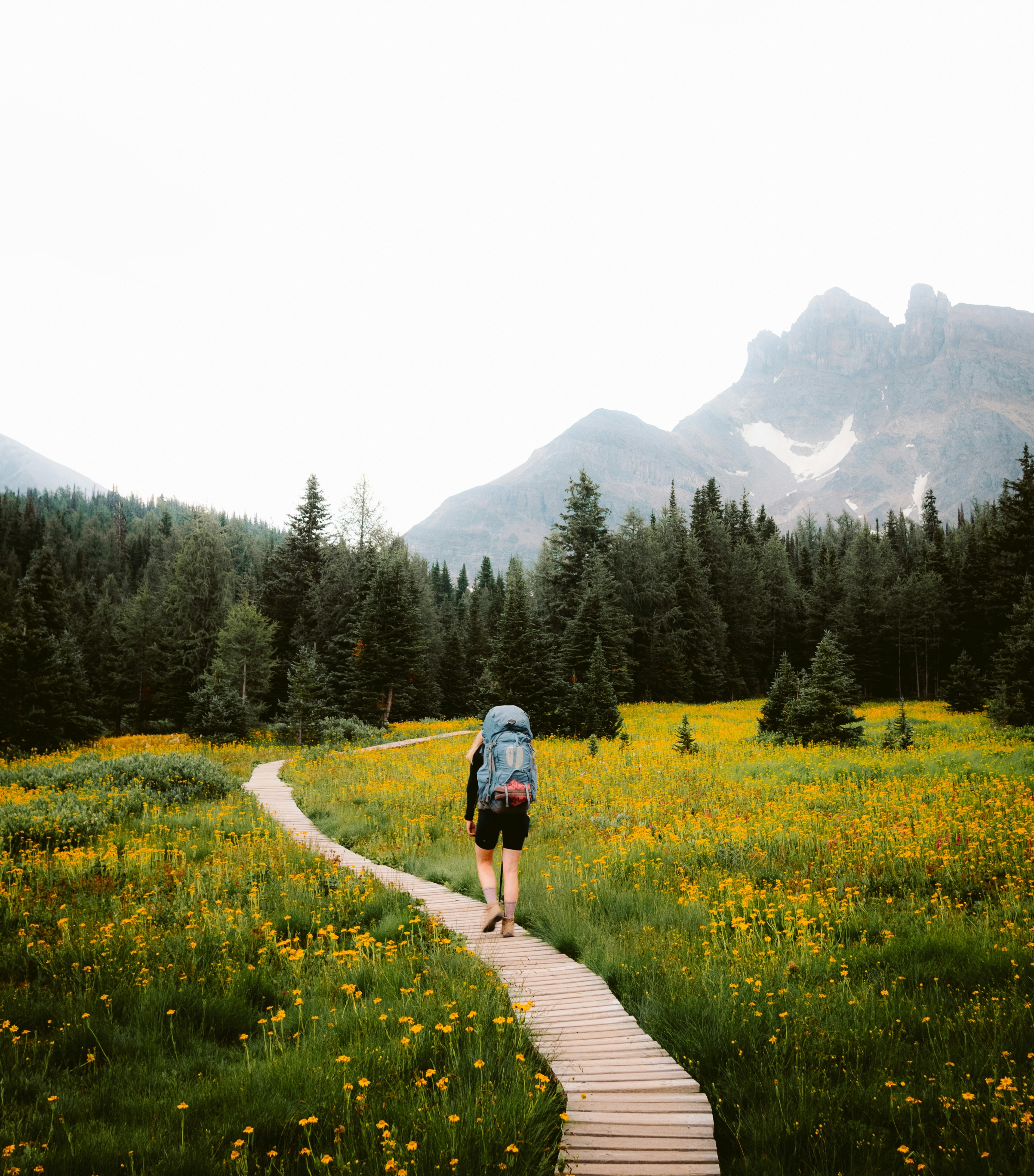Post‑Divorce Financial Planning
