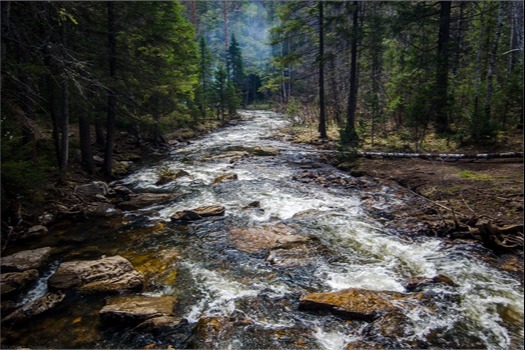  Corporate Retirement Plans