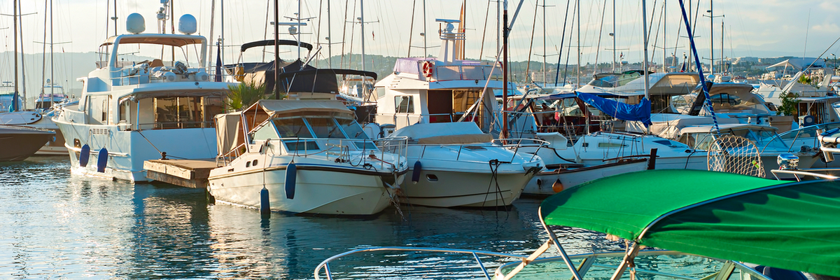 Boats docked on the coast