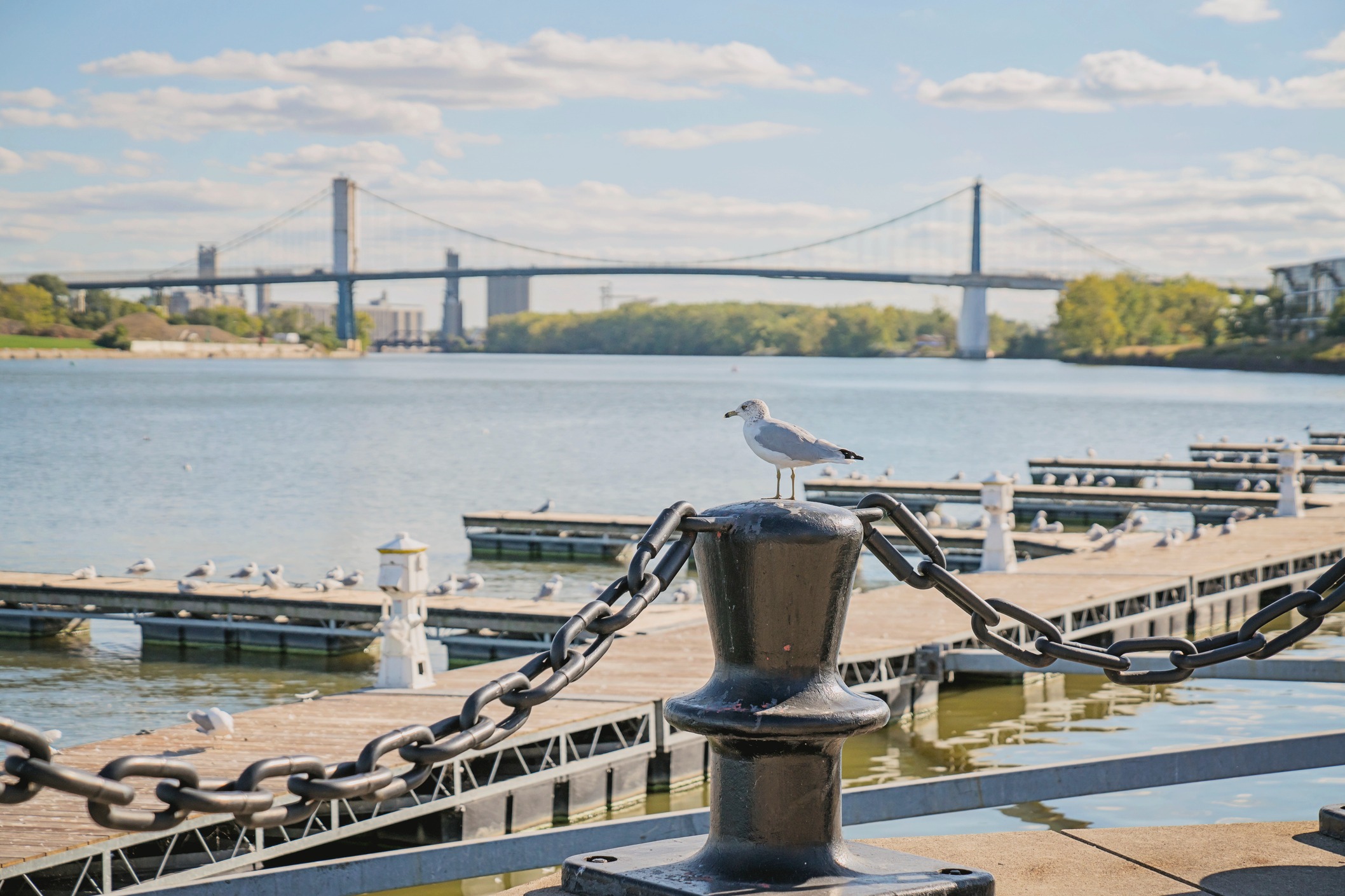 Pursuing Financial Independence