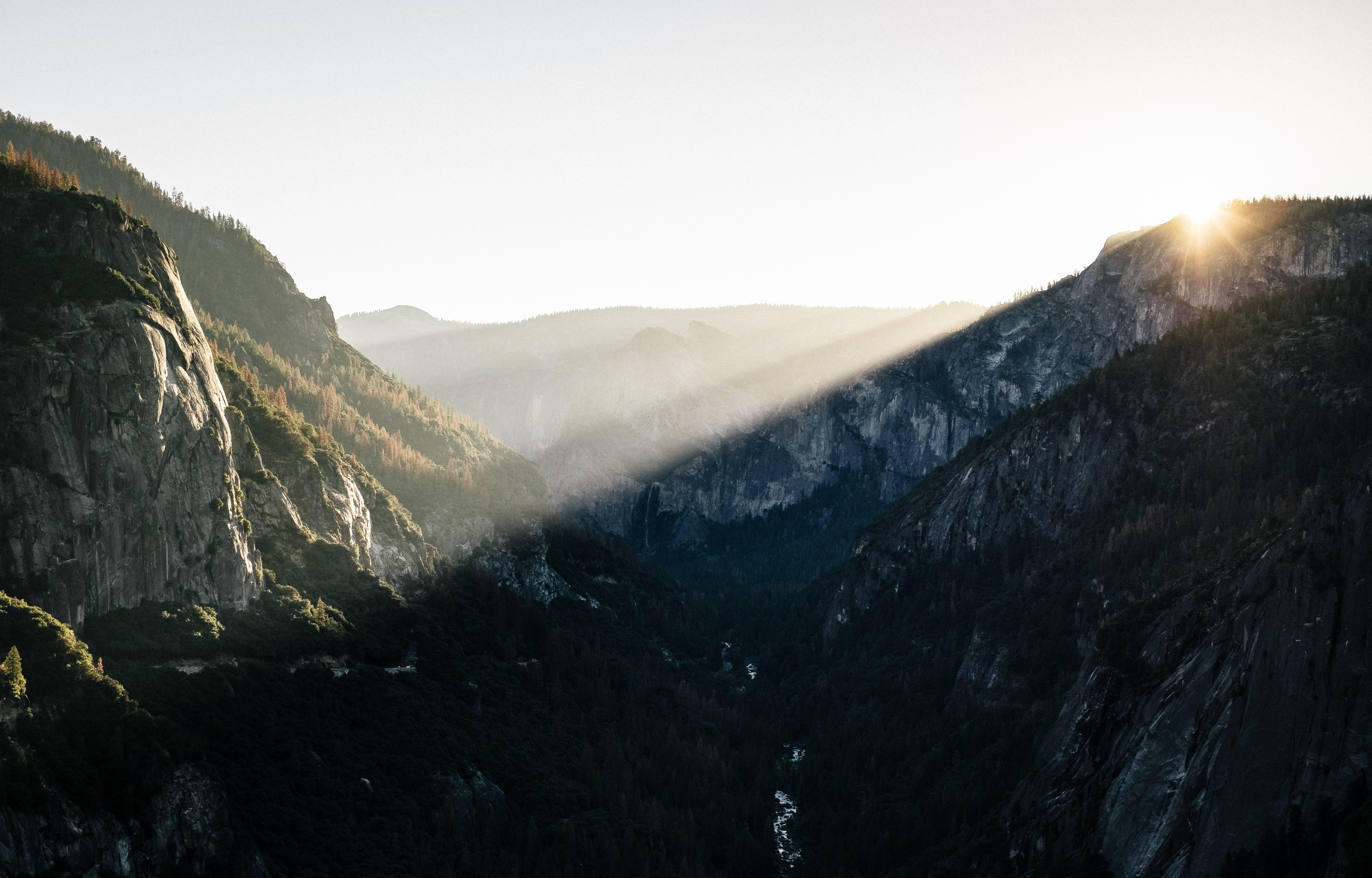 Investing with a Purpose