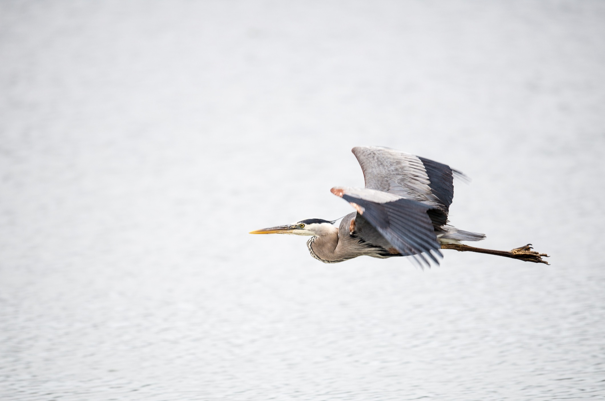 Independent. Specialized.