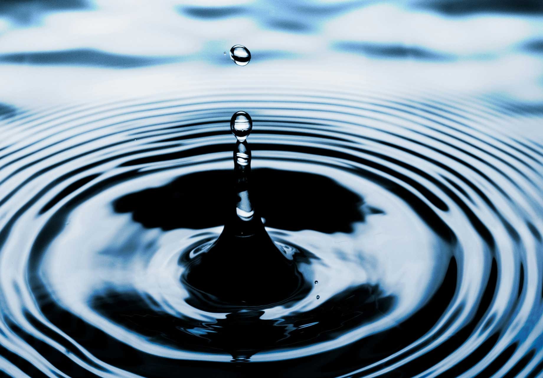 Benefit from added perspective and insight.