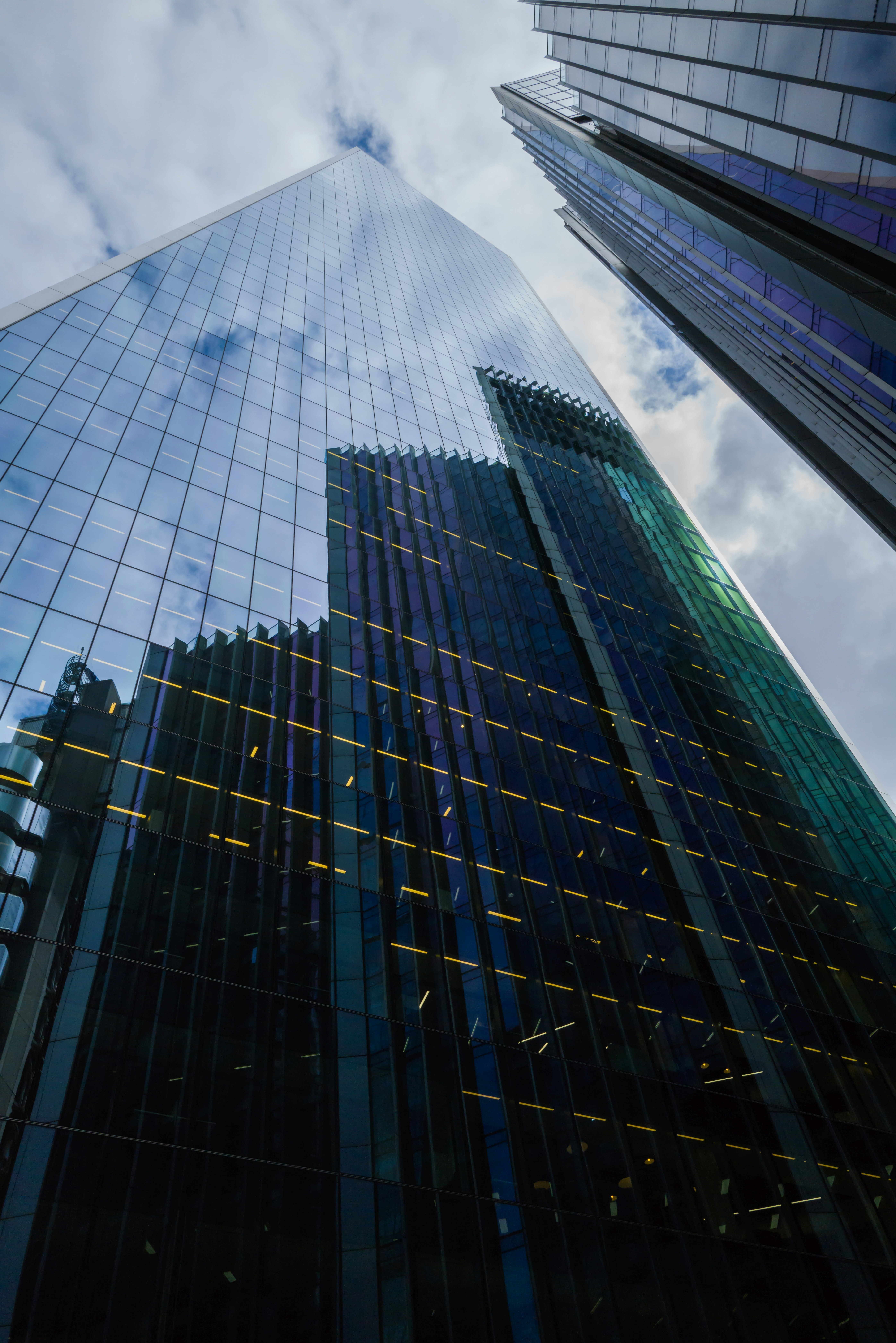 Institutional Investors