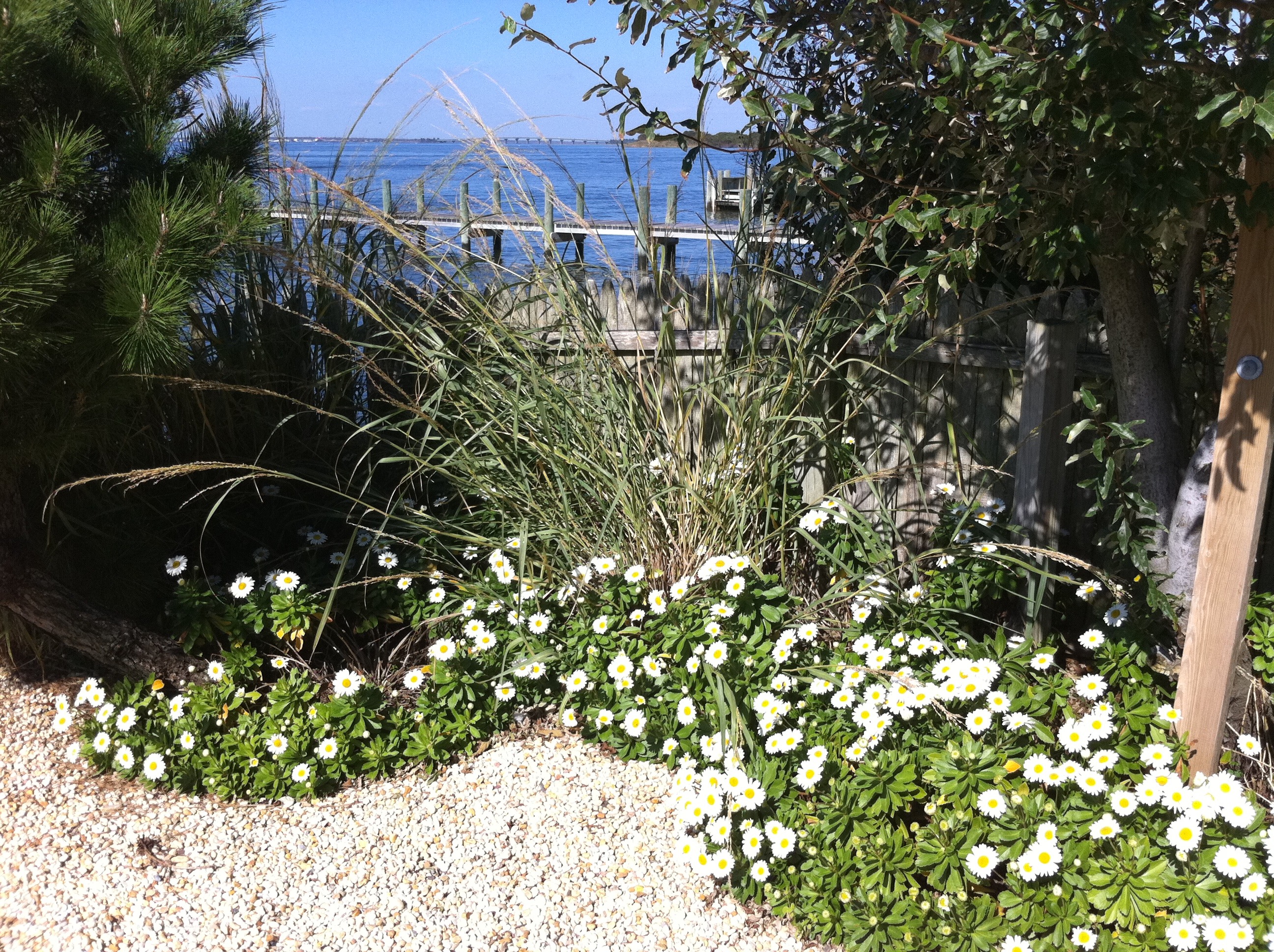 Professional Investor