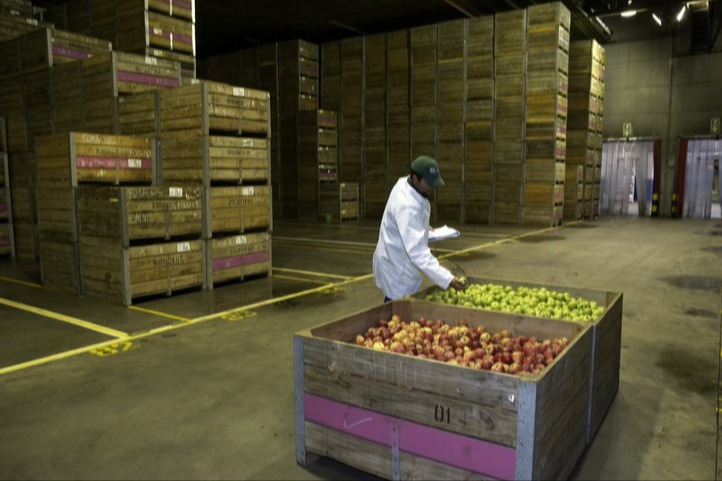Food Supply Chain