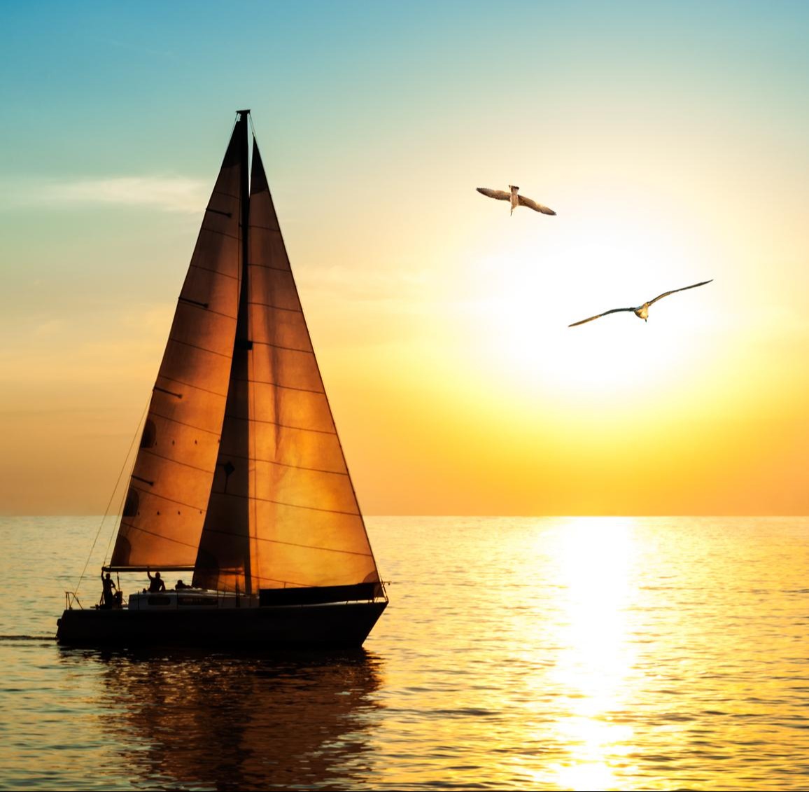 Sailboat and seagulls at sunset.