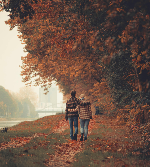 Preserve Your Future with Smart Retirement Strategies
